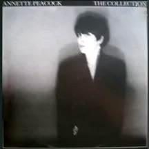 Capa de Annette Peacock — The Collection