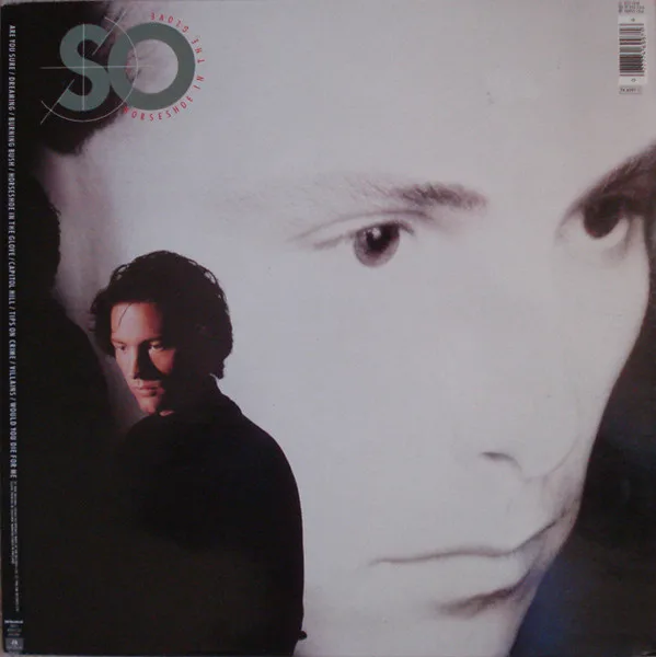 Capa de So (2) — Horseshoe In The Glove