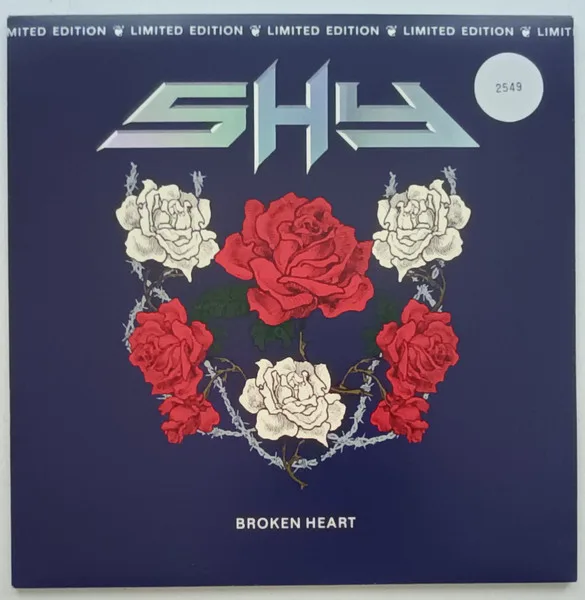 Capa de Shy — Broken Heart