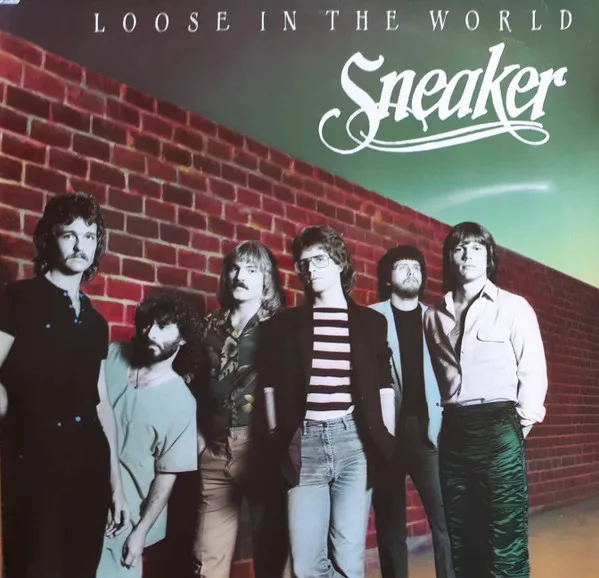 Capa de Sneaker — Loose In The World
