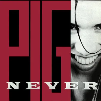 Capa de Pig — Never For Fun
