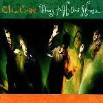 Capa de China Crisis — Diary Of A Hollow Horse
