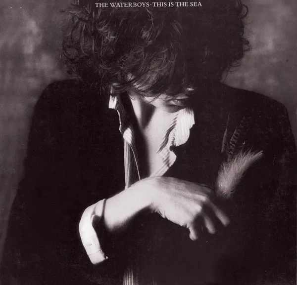 Capa de The Waterboys — This Is The Sea