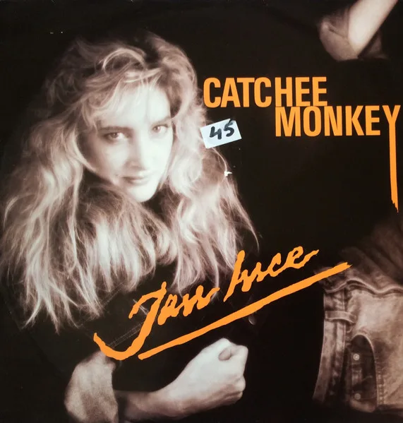 Capa de Jan Ince — Catchee Monkey
