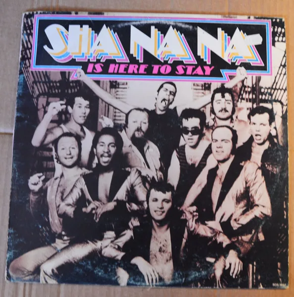Capa de Sha Na Na — Sha Na Na Is Here To Stay