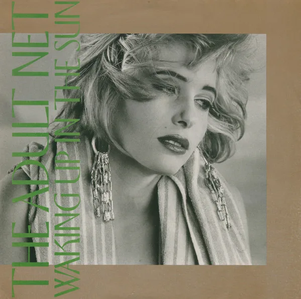 Capa de The Adult Net* — Waking Up In The Sun