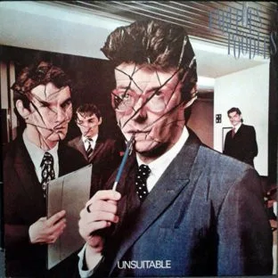 Capa de Fabulous Poodles, The* — Unsuitable