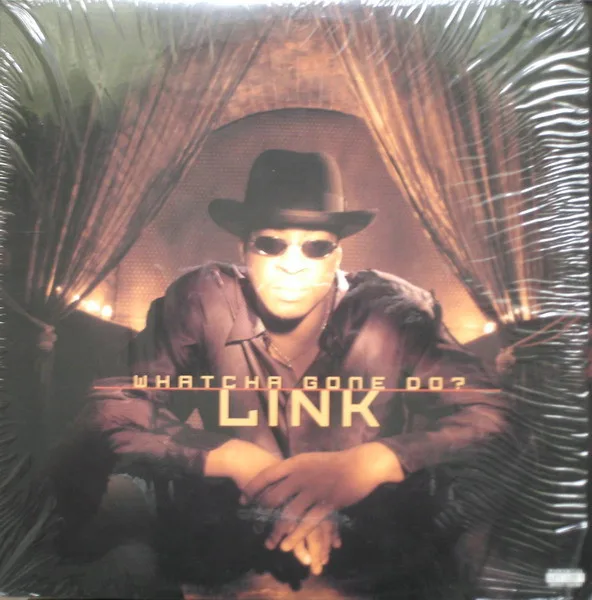 Capa de Link (3) — Whatcha Gone Do?