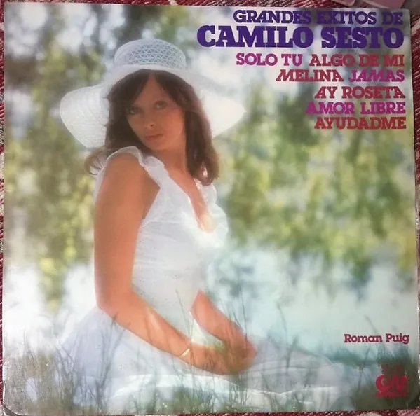 Capa de Román Puig — Grandes Exitos De Camilo Sesto