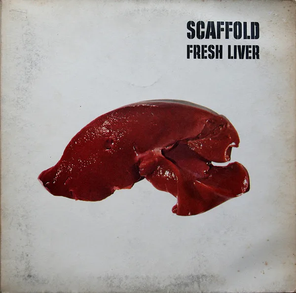 Capa de Scaffold — Fresh Liver
