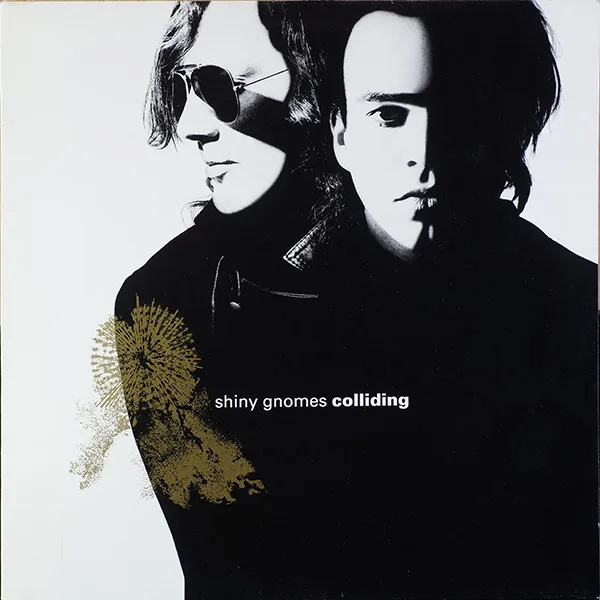 Capa de Shiny Gnomes — Colliding