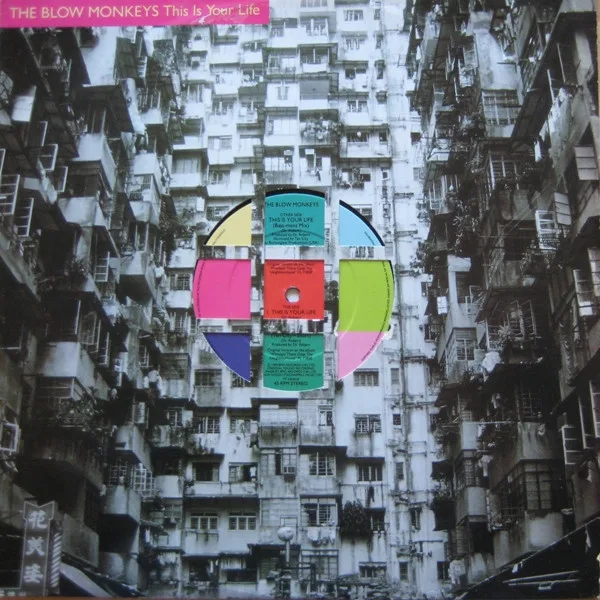 Capa de The Blow Monkeys — This Is Your Life