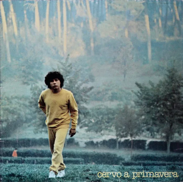 Capa de Riccardo Cocciante — Cervo A Primavera
