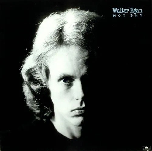 Capa de Walter Egan — Not Shy