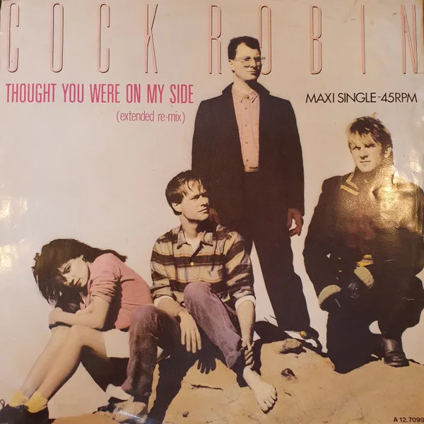 Capa de Cock Robin — Thought You Were On My Side