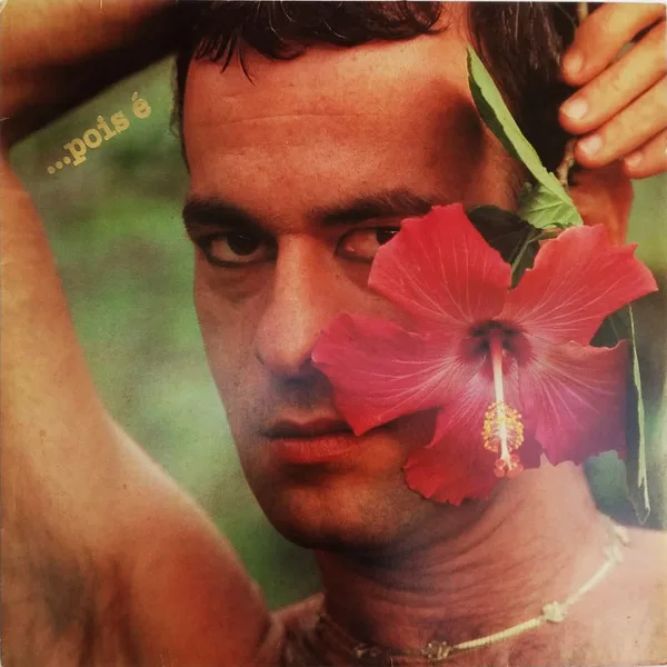 Capa de Ney Matogrosso — ...Pois É