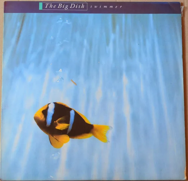Capa de The Big Dish — Swimmer