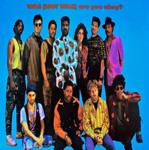 Capa de Was (Not Was) — Are You Okay?