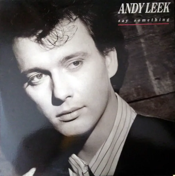 Capa de Andy Leek — Say Something