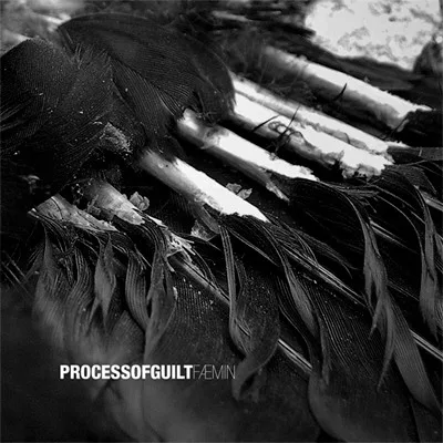 Capa de Process Of Guilt — Fæmin