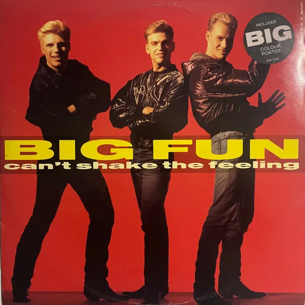 Capa de Big Fun — Can't Shake The Feeling