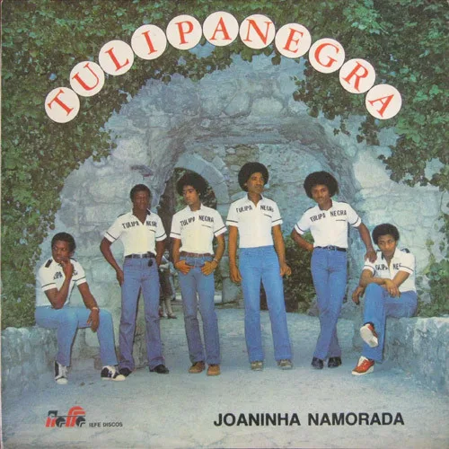 Capa de Tulipa Negra — Joaninha Namorada