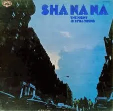 Capa de Sha Na Na* — The Night Is Still Young