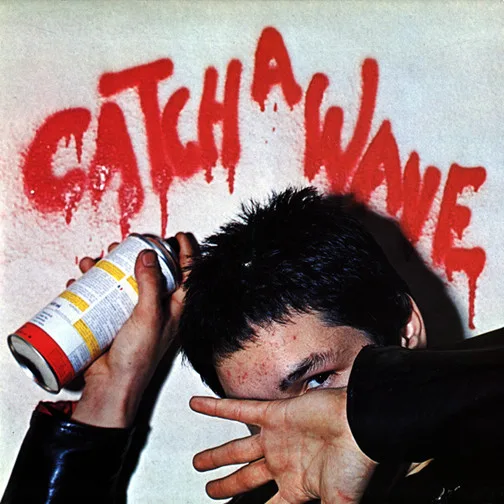 Capa de Various — Catch A Wave