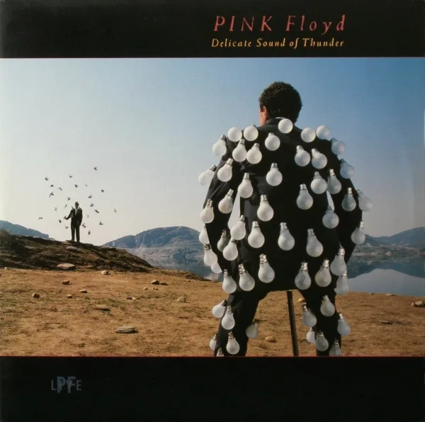 Capa de Pink Floyd — Delicate Sound Of Thunder